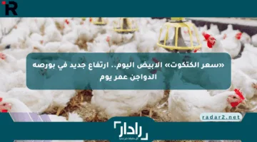 «سعر الكتكوت» الأبيض اليوم.. ارتفاع جديد في بورصة الدواجن عمر يوم